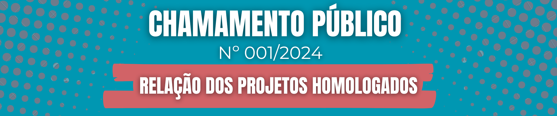 Chamamento Público 001/2024: Relação dos projetos homologados